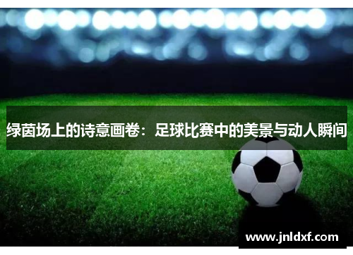 绿茵场上的诗意画卷：足球比赛中的美景与动人瞬间